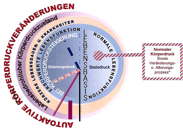 Kreisdarstellung der autoaktiven Körperdruckveränderungen über die Lebensdauer